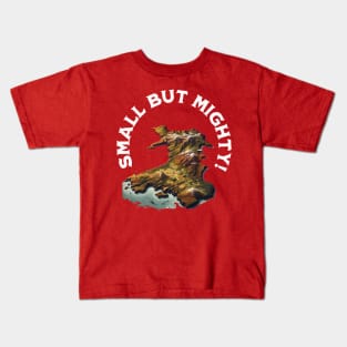 Wales Kids T-Shirt